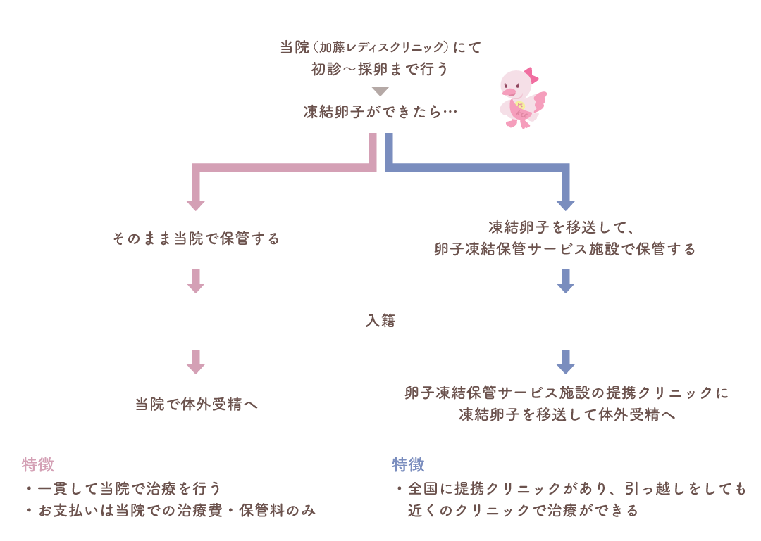 卵子を保管する2つの方法