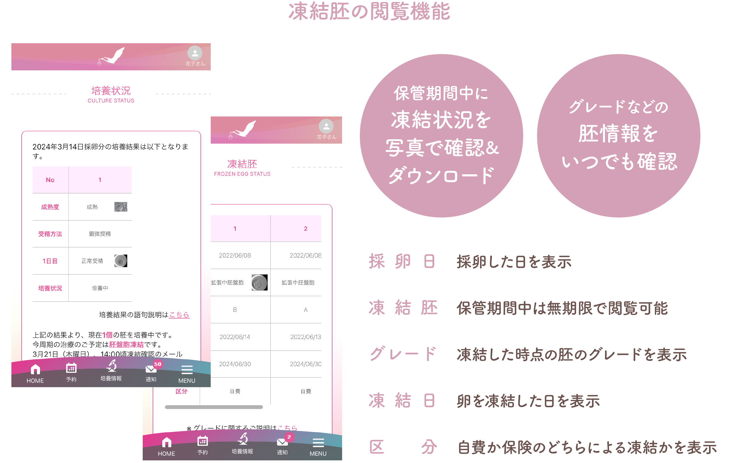 凍結胚の閲覧機能詳細