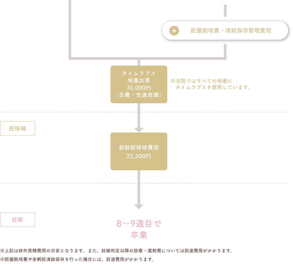 融解胚移植(保険適用料金)