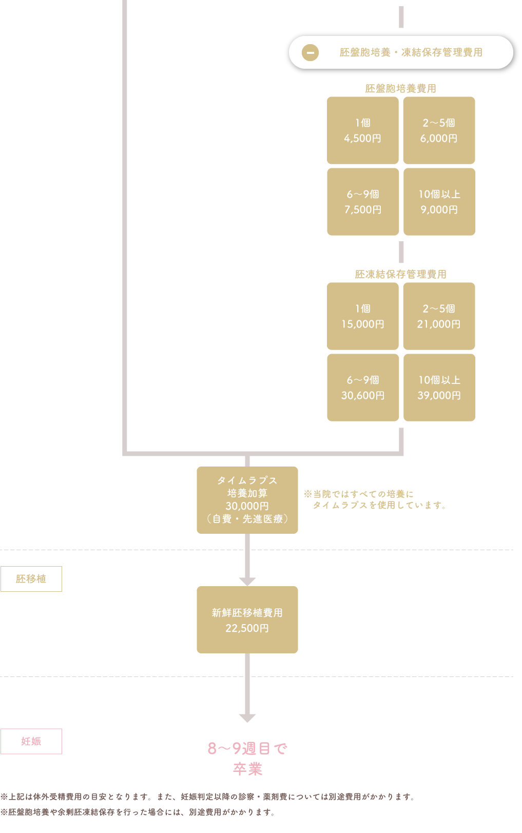 融解胚移植(保険適用料金) 余剰胚がある場合