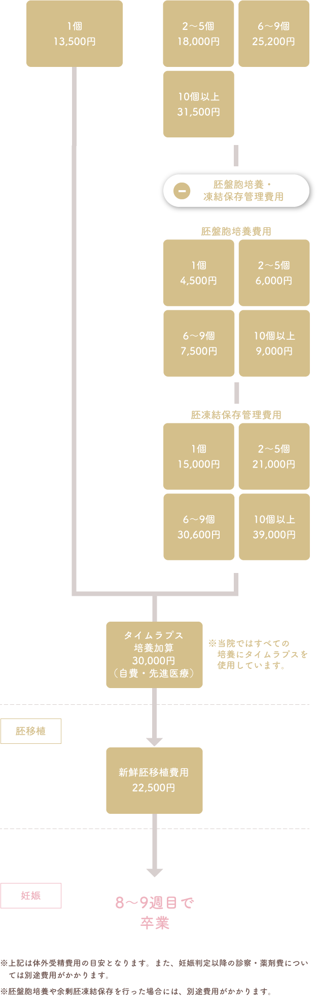 融解胚移植(保険適用料金) 余剰胚がある場合
