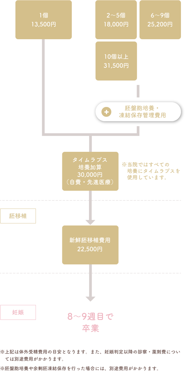 融解胚移植(保険適用料金)