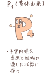 P4（黄体由来）