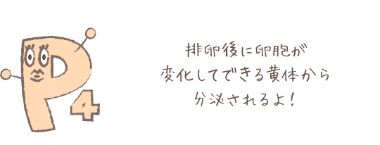 排卵後に卵胞が変化してできる黄体から分泌されるよ！