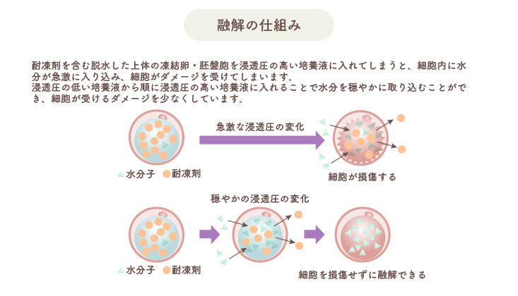 融解の仕組み