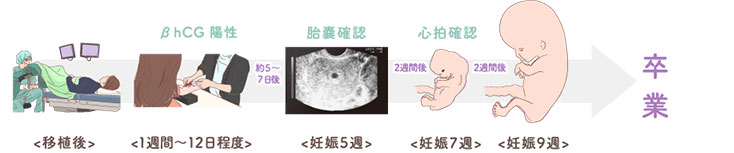 移植後~当院卒業まで