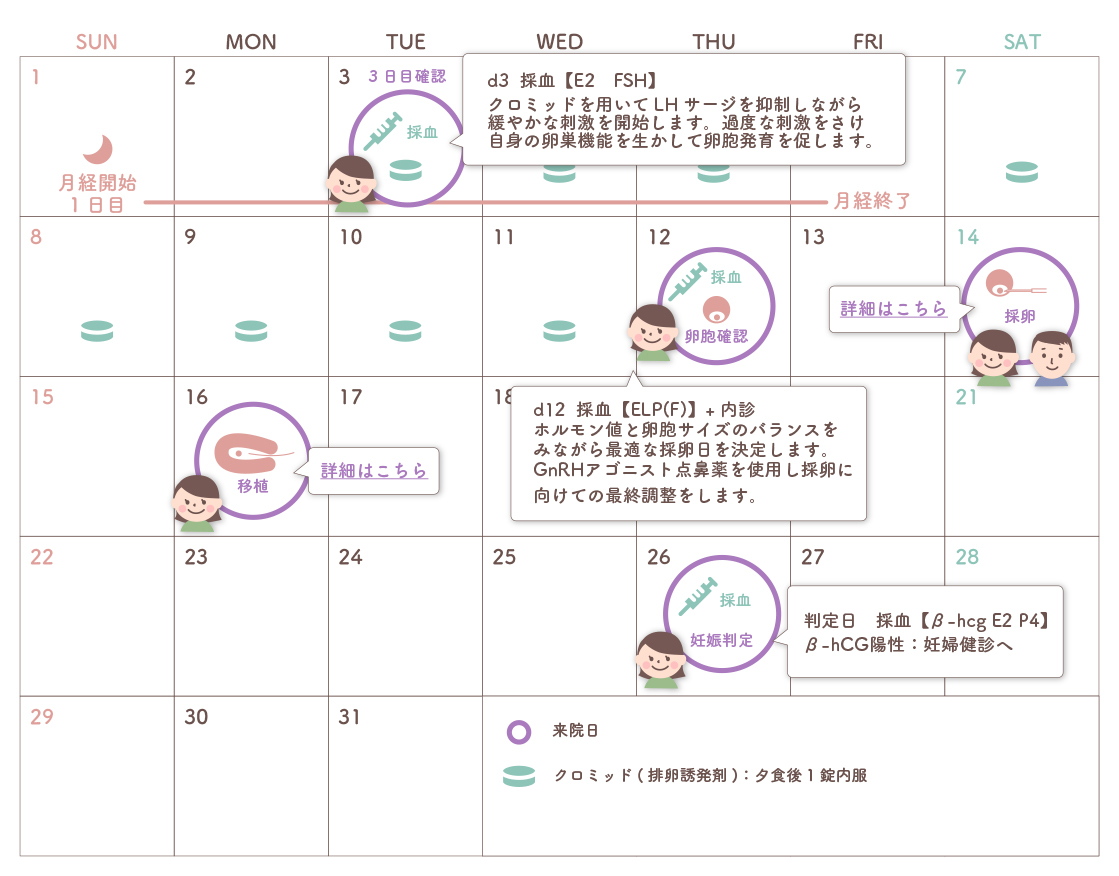 clo-d2ET(28日周期の場合) クロミッド周期から新鮮分割胚移植までのモデルカレンダー