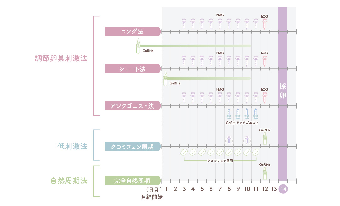 [体外受精] 調節卵巣刺激法、自然周期法・低刺激法 について