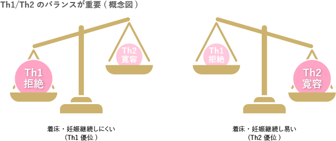 Th1／Th2のバランスが重要（概念図）